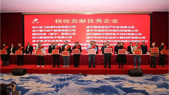 遂寧歐美產(chǎn)業(yè)園優(yōu)秀企業(yè)喜獲表彰