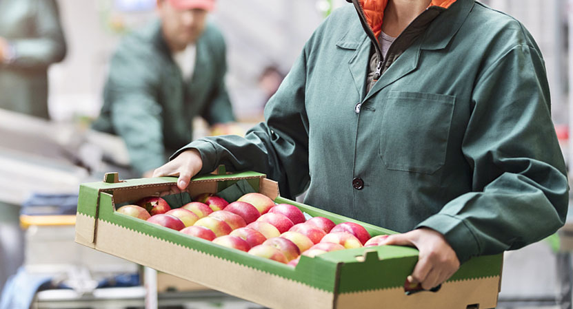 食品飲料產(chǎn)業(yè)